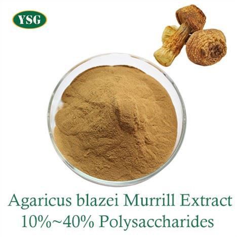 Polvere di estratto di Agaricus Blazei Murrill