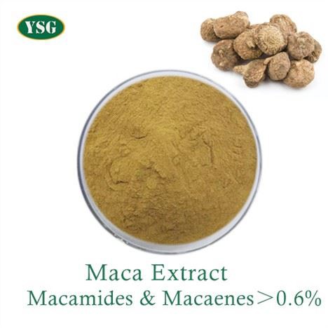 Polvere di estratto di maca