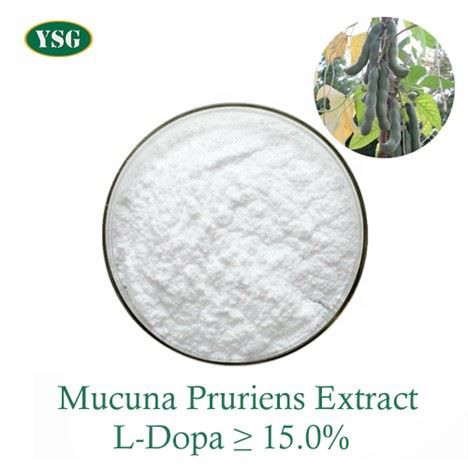Polvere di estratto di Mucuna Pruriens