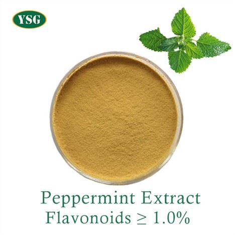 Polvere di estratto di menta piperita